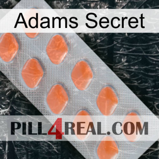 Adams Secret 26